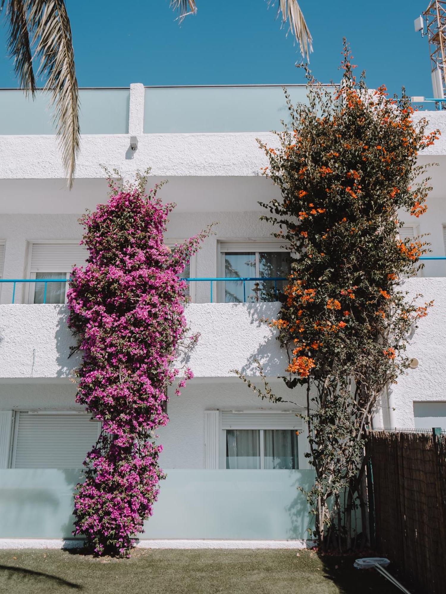 Hostal Las Gaviotas Del Cabo San José Kültér fotó